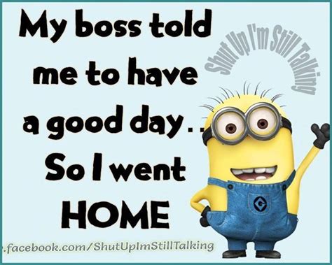 Zucchini Summer: Friday Funnies: Minions