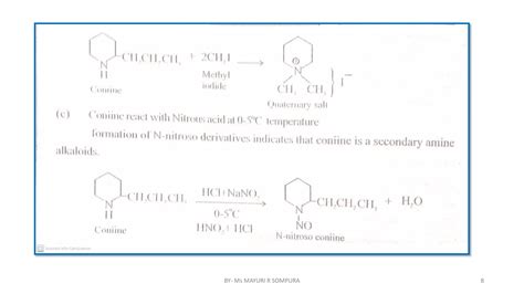 Coniine structure elucidation SLIDESHARE sem 5 bsc | PPT