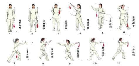 Tai Chi Sword | Tai chi, Tai chi movements, Martial arts