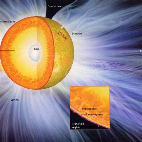 3: A 3-dimensional view of the Sun showing the interior, photosphere,... | Download Scientific ...