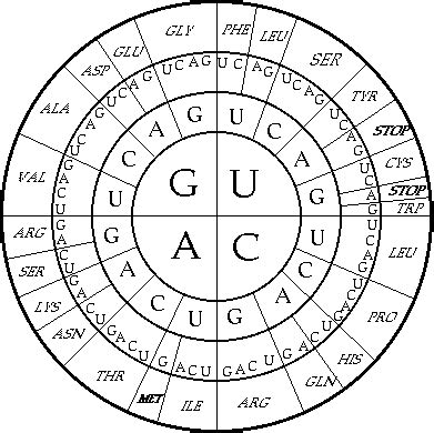 Chapter 12 Resources