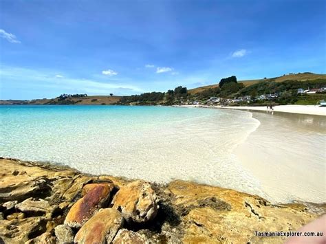 Boat Harbour Beach Tasmania: Road Trip Stop