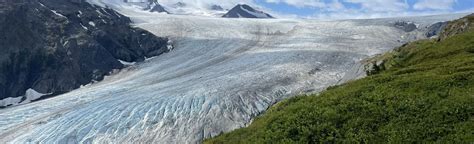 Harding Icefield Trail, Alaska - 3,004 Reviews, Map | AllTrails