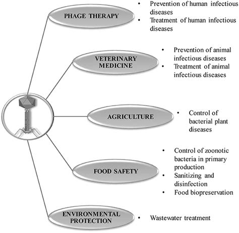 Frontiers | Application of Bacteriophages in the Agro-Food Sector: A Long Way Toward Approval