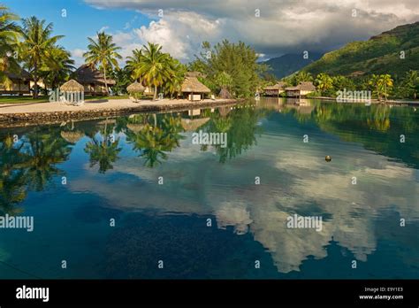 Overwater bungalows, evening atmosphere, Moorea, French Polynesia Stock ...