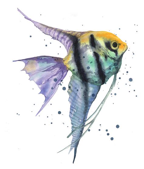 Alluring Angelfish Painting by Alison Fennell - Fine Art America