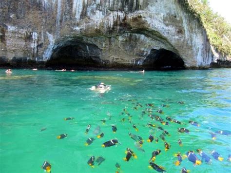 The Best Outdoor Activities In Puerto Vallarta - Los Arcos - Puerto Vallarta Food Tours