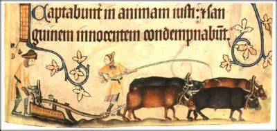 Medieval News: How the heavy plough changed the world