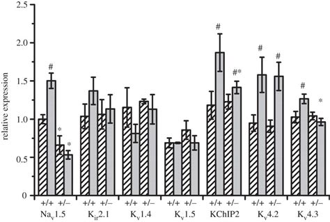 mRNA expression patterns. Graph of mRNA expression in Na⁺ and K ...