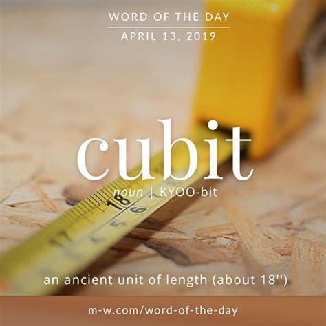 Cubit - Word of the Day | Word of the day, Cool words, Vocabulary words