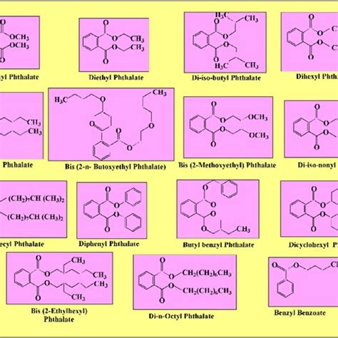 Molecular structure of 14 phthalate esters | Download Scientific Diagram