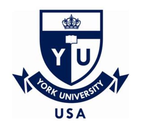 York University - Remote Work From Home & Flexible Jobs | FlexJobs