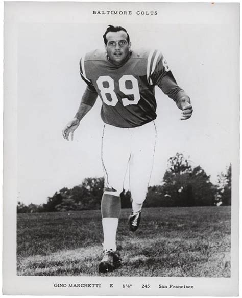 Gino Marchetti Baltimore Colts Photographs (15)