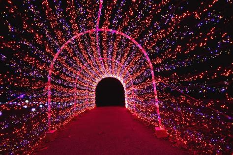 Third Annual Garden Glow at the Missouri Botanical Garden • Oak Island ...