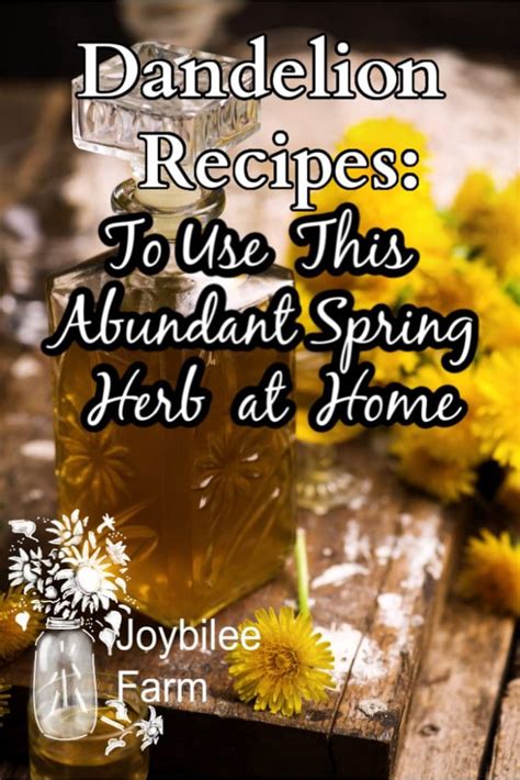 Dandelion Recipes: To Use This Abundant Spring Herb at Home