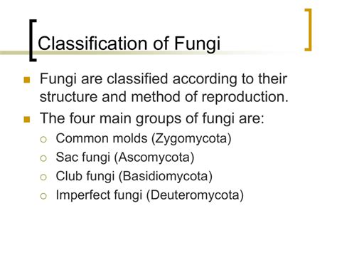 Classification of Fungi