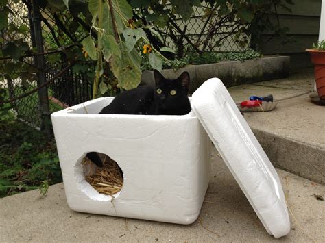 Best 35 Diy Outdoor Cat Shelter - Home, Family, Style and Art Ideas