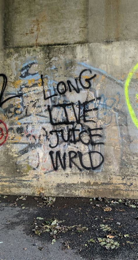 This "Long Live Juice WRLD" graffiti that I found near my house : r/JuiceWRLD