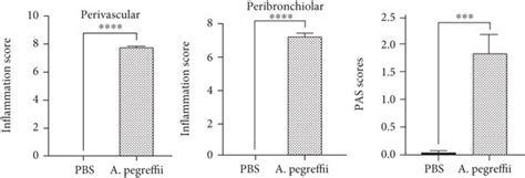 Treatment with the Anisakis pegreffii extract (AE) increases... | Download Scientific Diagram