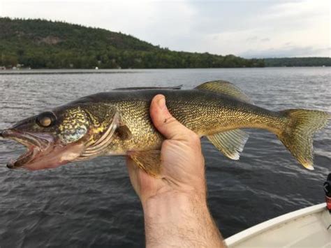 Calabogie, Ontario | Angler's Atlas