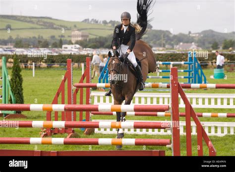 Equestrian sport horse riders show jumping competition horse jumping ...