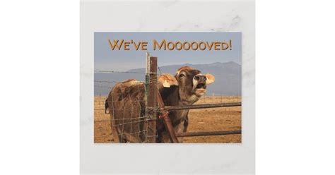 Funny Moving Announcement Postcard | Zazzle.com