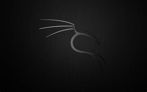 Kali Linux Black Wallpaper