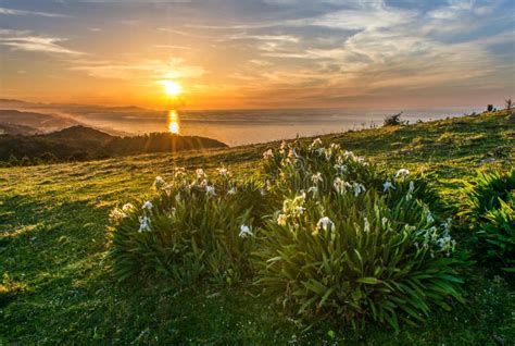 Mountain Valley during Sunset. Natural Spring Landscape, Mountains during Sunrise Stock Photo ...