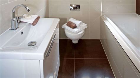 Roach Infestation in Guest Bathrooms: 7 Proactive Prevention Tips – Big Home Projects