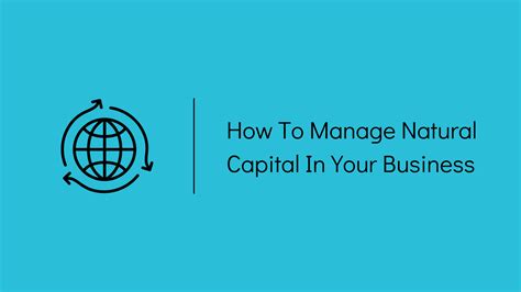 How To Manage Natural Capital In Your Business