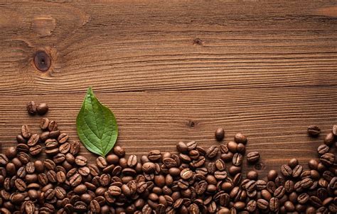 Coffee Bean Wallpapers - Wallpaper Cave