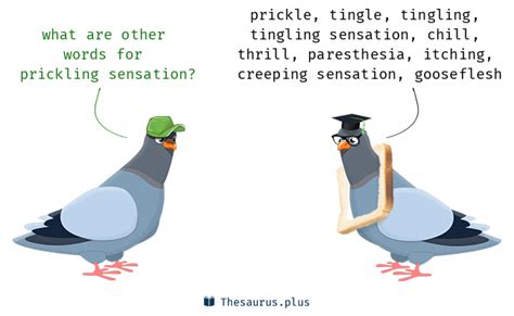 12 Prickling sensation Synonyms. Similar words for Prickling sensation.