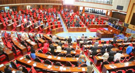 Africa: Tanzania parliament gives immunity to President and heads of ...