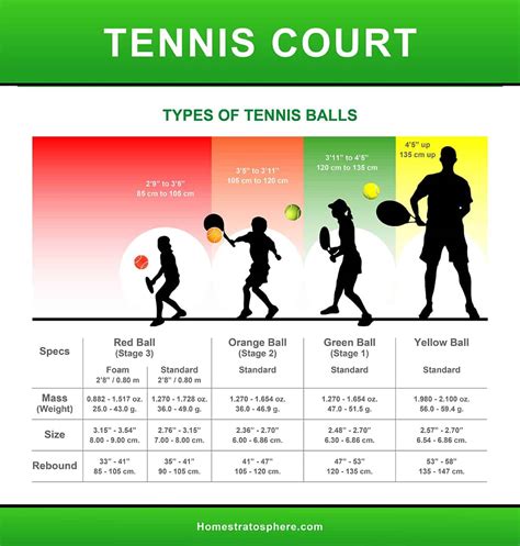 Tennis Court Dimensions and Anatomy (Diagrams)