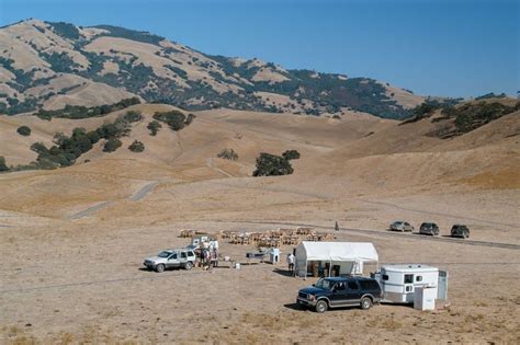 Moonlight on the Mountain - Save Mount Diablo