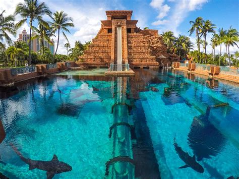 Staying at The Cove Atlantis • The Blonde Abroad | Water slides, Cool ...