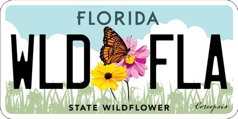 The State Wildflower license plate gets a makeover - Florida Wildflower Foundation