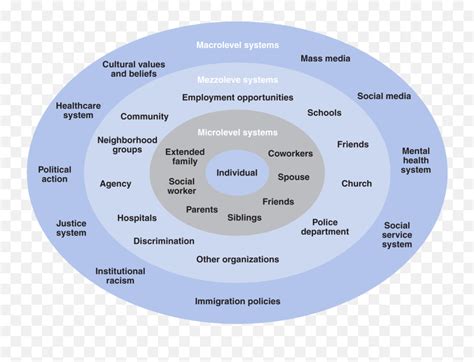 Theories Paradigms And Professional Competencies In Social - Micro ...