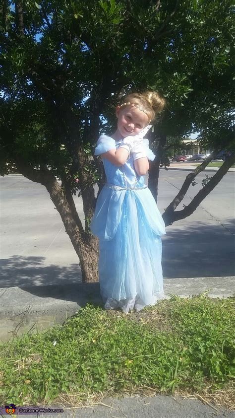 Cinderella and Gus Gus Costume - Photo 4/4