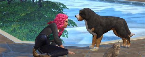 Sims 4 pet training skill cheat - gortru