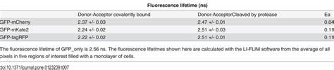 The FRET efficiency Ea of the different FRET pairs, measured with FLIM. | Download Table