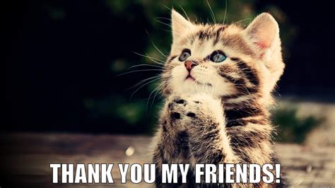 Thank You For Your Attention Meme - 56 фото