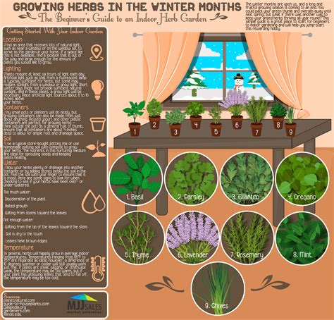 Growing Herbs in the Winter Months #infographic - Visualistan