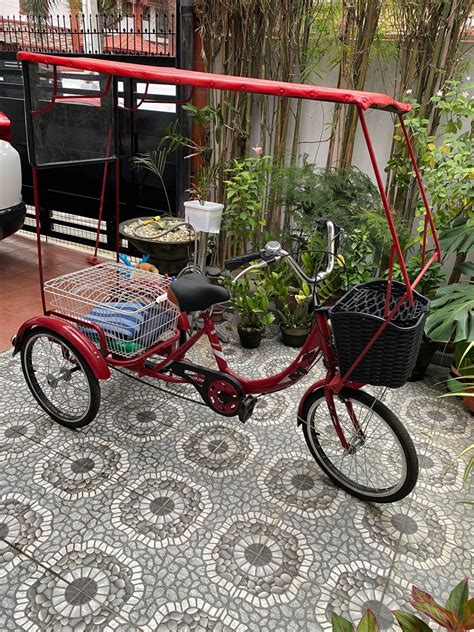 Tribike 3 wheel bike with canopy, Sports Equipment, Bicycles & Parts, Bicycles on Carousell