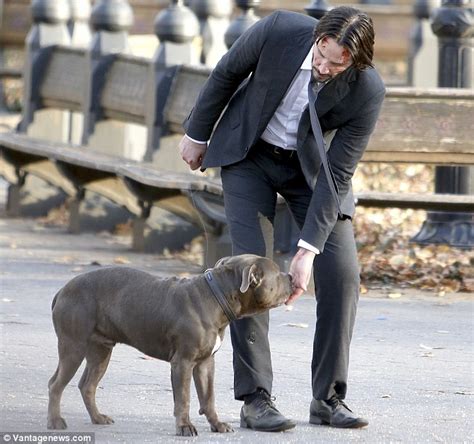 Keanu Reeves runs through Central Park on set of John Wick 2 in New York City | Daily Mail Online