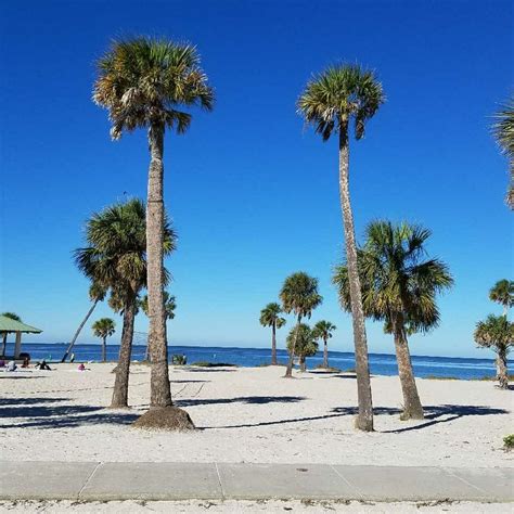 Howard Park Beach | Tampa bay area, Beach, Florida