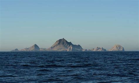 Farallon Islands: Wildlife, Visiting, Statistics • The Grom Life