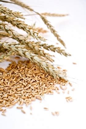 Grains: Which grains contain gluten? | Sara Moulton