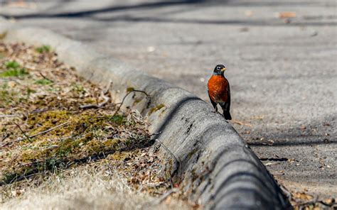 Lehigh Valley weather: After cool start to May, a warm weekend awaits ...