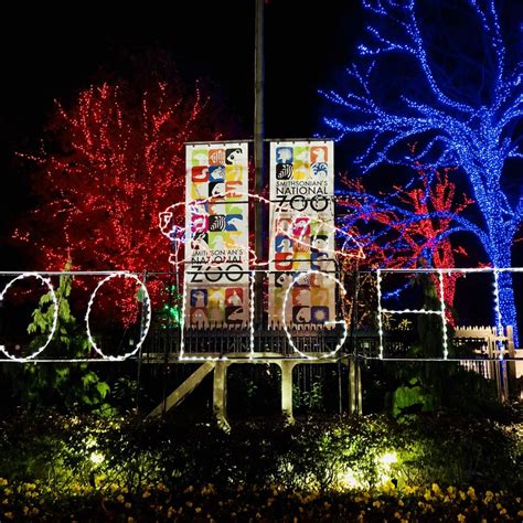 Zoolights | Capital Region USA